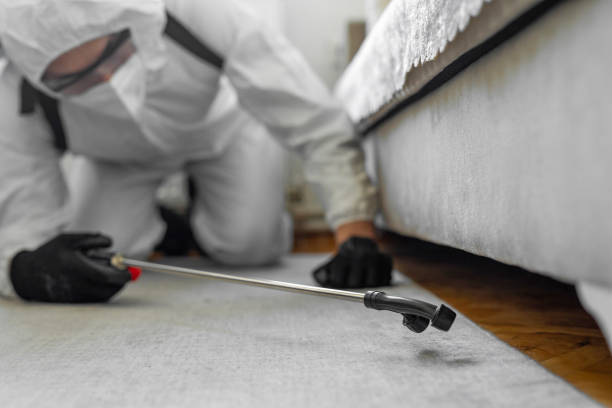 Professional Pest Control technician working in Bronson, FL