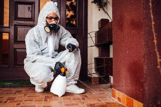 Reliable Cockroach Control contractor in Bronson, FL by Nex Pest Control