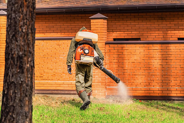 Trusted Cockroach Control service in Bronson, FL - Nex Pest Control
